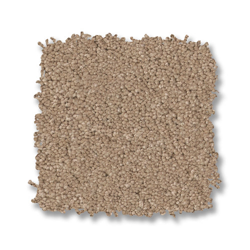 ENDURING CHARM - Warm Sand 00764