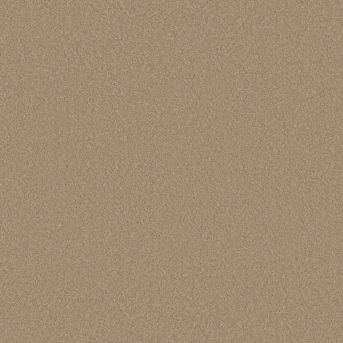 ENDURING CHARM - Warm Sand 00764