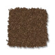 ENDURING CHARM - Bronco 00768 ENDURING CHARM - Bronco 00768