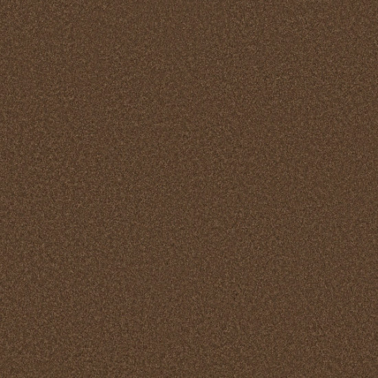 ENDURING CHARM - Bronco 00768 ENDURING CHARM - Bronco 00768