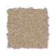 ELEGANT BEAUTY - Transparent 00114 ELEGANT BEAUTY - Transparent 00114