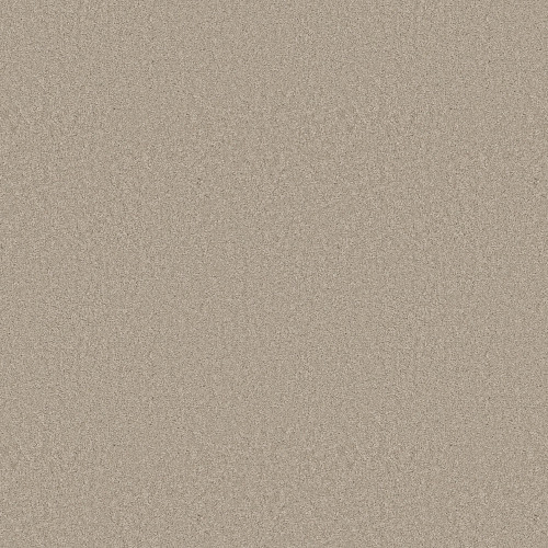 ELEGANT BEAUTY - Sandshell 00172