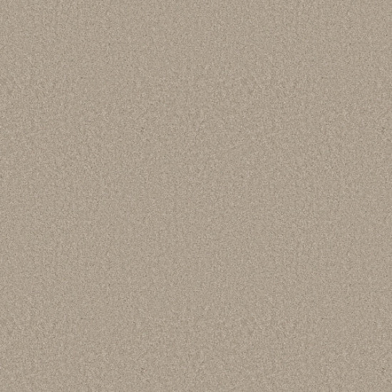 ELEGANT BEAUTY - Sandshell 00172 ELEGANT BEAUTY - Sandshell 00172