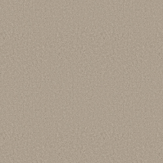 ELEGANT BEAUTY - Sandshell 00172 ELEGANT BEAUTY - Sandshell 00172