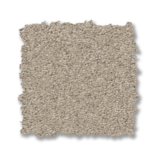 ELEGANT BEAUTY - Sandshell 00172 ELEGANT BEAUTY - Sandshell 00172