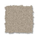 ELEGANT BEAUTY - Sandshell 00172 ELEGANT BEAUTY - Sandshell 00172