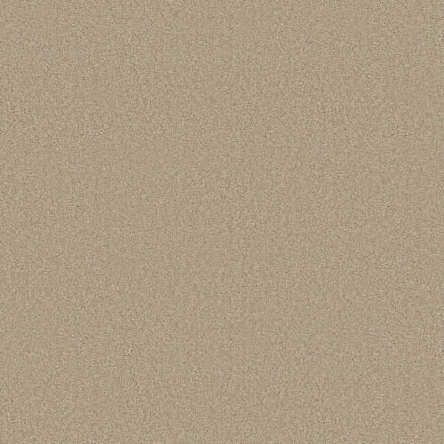 ELEGANT BEAUTY - Buff 00173