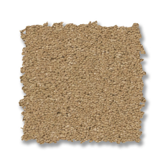 ELEGANT BEAUTY - Winter Wheat 00224 ELEGANT BEAUTY - Winter Wheat 00224
