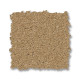 ELEGANT BEAUTY - Winter Wheat 00224 ELEGANT BEAUTY - Winter Wheat 00224