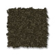 ELEGANT BEAUTY - Dark Olive 00339 ELEGANT BEAUTY - Dark Olive 00339
