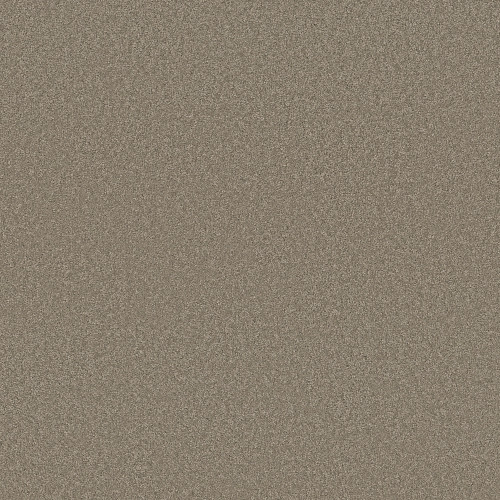 ELEGANT BEAUTY - Atmosphere 00573