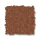 ELEGANT BEAUTY - Clay 00667 ELEGANT BEAUTY - Clay 00667