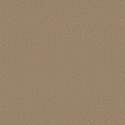 ELEGANT BEAUTY - Biscotti 00724