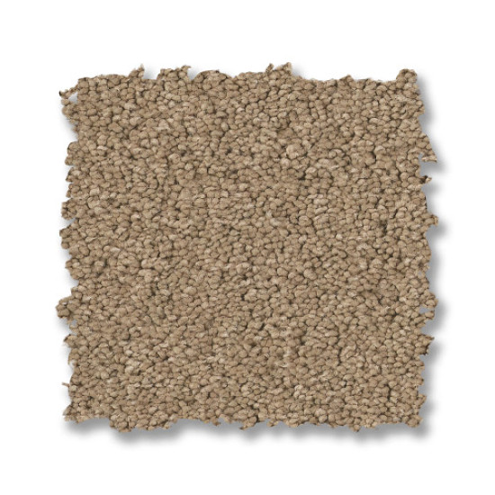 ELEGANT BEAUTY - Biscotti 00724 ELEGANT BEAUTY - Biscotti 00724