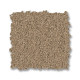ELEGANT BEAUTY - Biscotti 00724 ELEGANT BEAUTY - Biscotti 00724