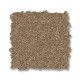 ELEGANT BEAUTY - Prairie 00727 ELEGANT BEAUTY - Prairie 00727