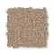 ELEGANT BEAUTY - Warm Sand 00764