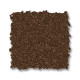 ELEGANT BEAUTY - Bronco 00768 ELEGANT BEAUTY - Bronco 00768