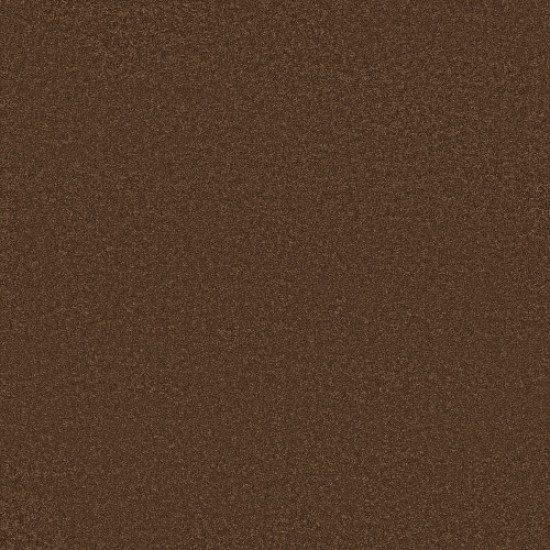 ELEGANT BEAUTY - Bronco 00768 ELEGANT BEAUTY - Bronco 00768