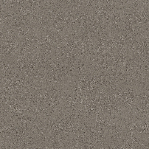 FANCY THAT - Barnboard 00556