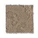 CHARISMATIC - Palm Desert 00134 CHARISMATIC - Palm Desert 00134