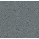 CHARISMATIC - Oceanic 00445