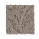CHARISMATIC - Toasty Gray 00573 CHARISMATIC - Toasty Gray 00573