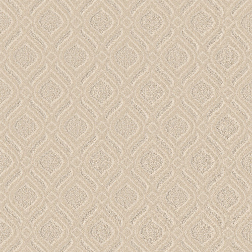 EXPRESSIVE - French Cream 00111