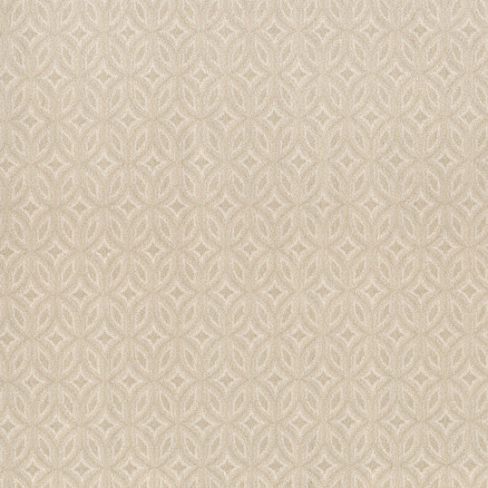 ENLIGHTENED - French Cream 00111