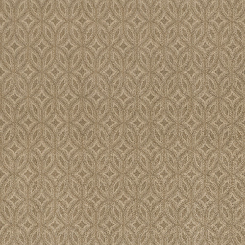 ENLIGHTENED - Beach Grass 00223