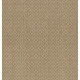 ENLIGHTENED - Beach Grass 00223 ENLIGHTENED - Beach Grass 00223