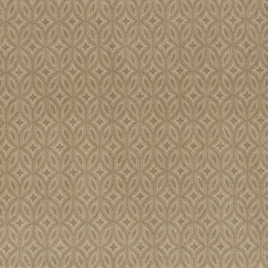 ENLIGHTENED - Beach Grass 00223 ENLIGHTENED - Beach Grass 00223