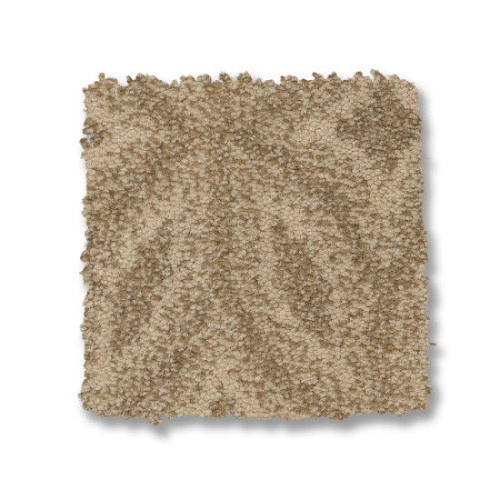 ENLIGHTENED - Beach Grass 00223 ENLIGHTENED - Beach Grass 00223