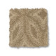 ENLIGHTENED - Beach Grass 00223 ENLIGHTENED - Beach Grass 00223