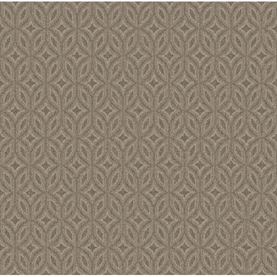 ENLIGHTENED - Toasty Gray 00573