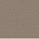 ENLIGHTENED - Toasty Gray 00573