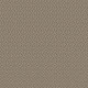 ENLIGHTENED - Toasty Gray 00573