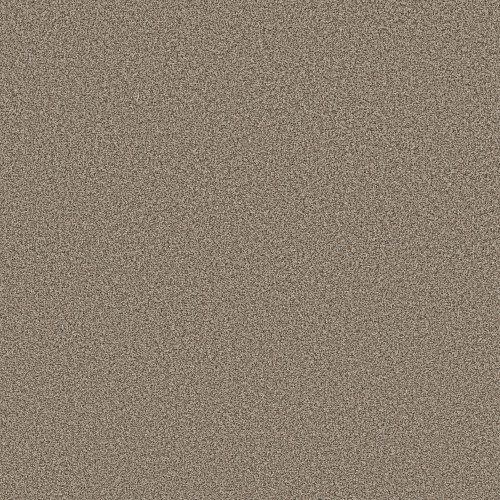 AVALON BAY - Chic Taupe 00753