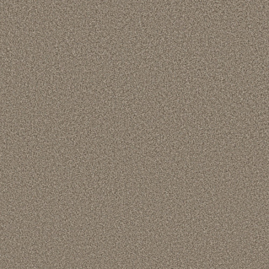 AVALON BAY - Chic Taupe 00753