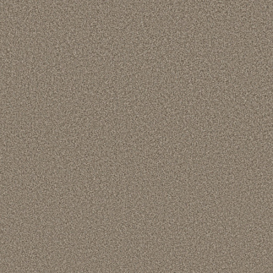 AVALON BAY - Chic Taupe 00753