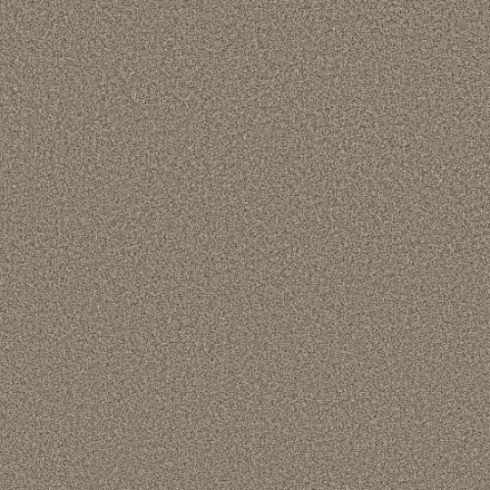 AVALON BAY - Chic Taupe 00753