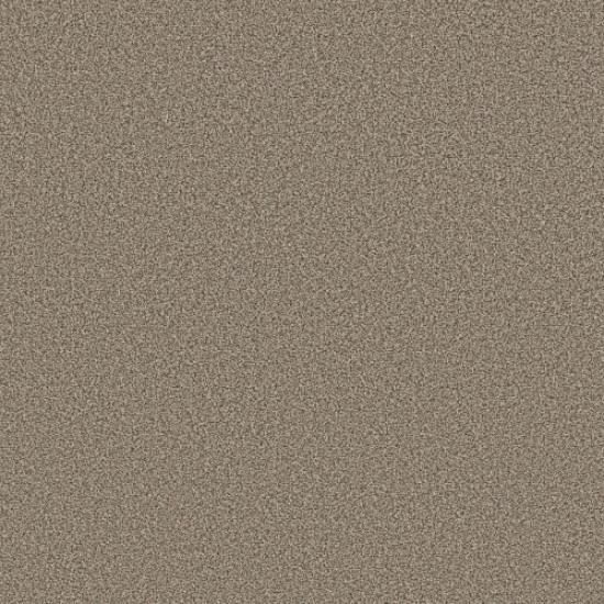 AVALON BAY - Chic Taupe 00753