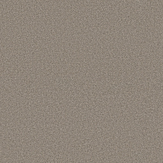 SOMERSET - Pashmina 00754