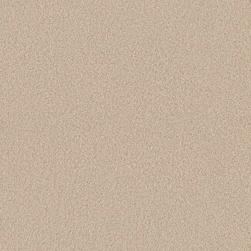 FABULOUS - Risotto 00121