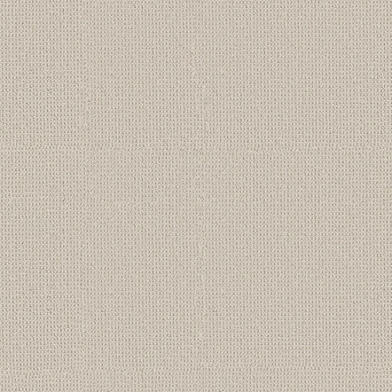 ARDEN PARK - Froth 00111