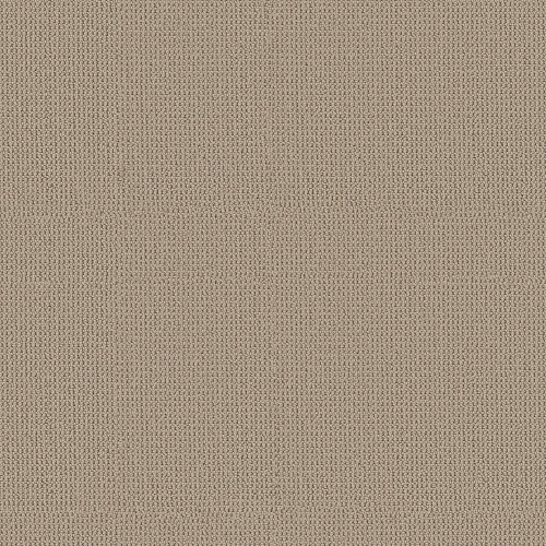 ARDEN PARK - Sandstorm 00175