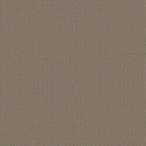 ARDEN PARK - Taupe Gray 00757
