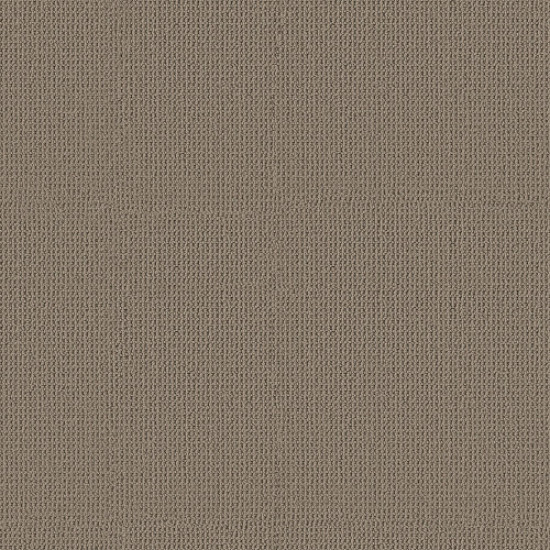 ARDEN PARK - Taupe Gray 00757