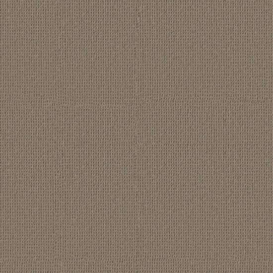 ARDEN PARK - Taupe Gray 00757