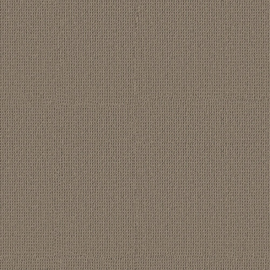 ARDEN PARK - Taupe Gray 00757